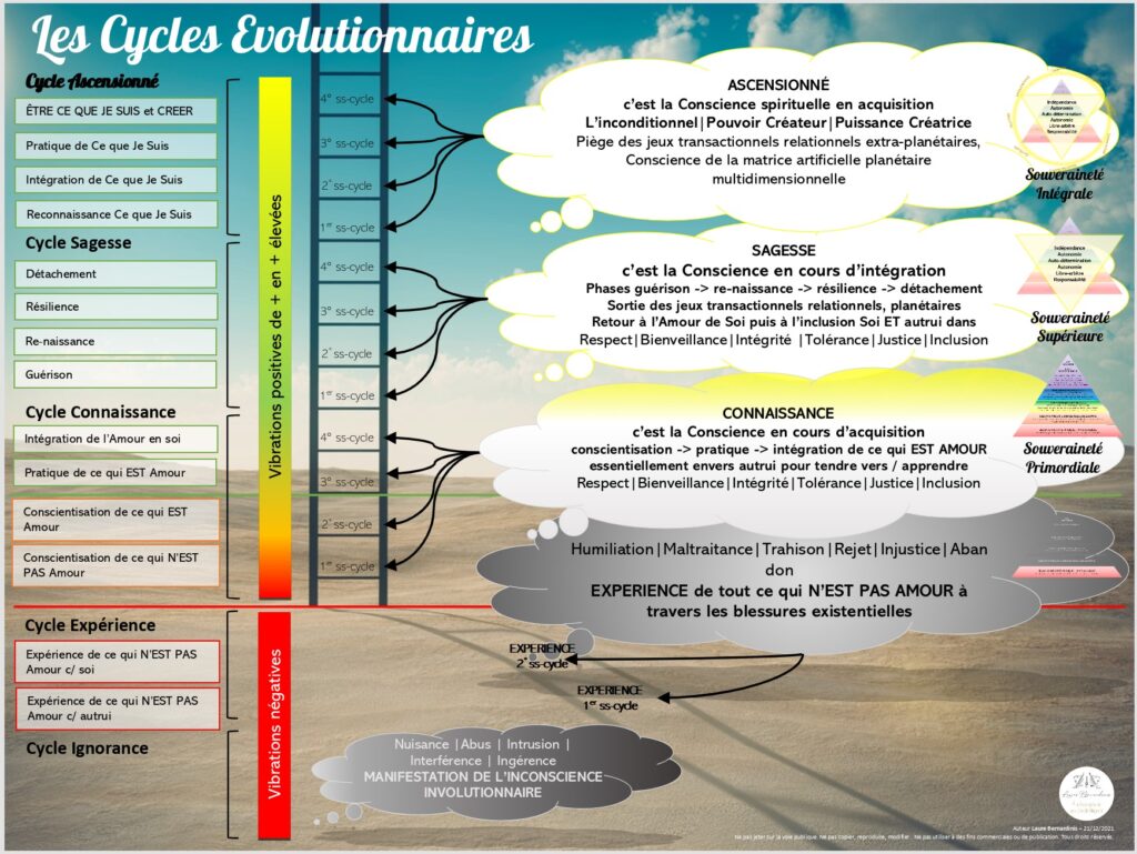 Illustration de l'échelle des Grands Cycles évolutionnaires - Auteur Laure Bernardinis